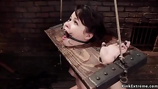Asian spinner anal fucked with reference to bondage